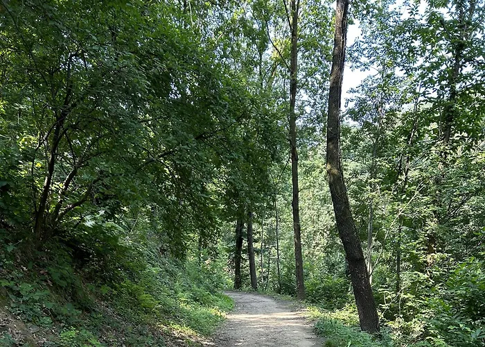 Il Giardino Di Berbech Citta Alta-Ulivo
