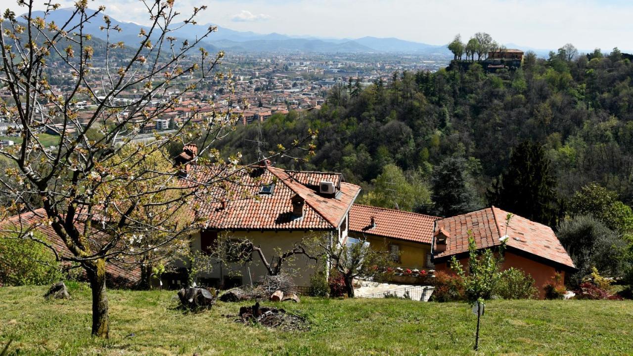 Il Giardino Di Berbech Citta Alta-ulivo Apartamento