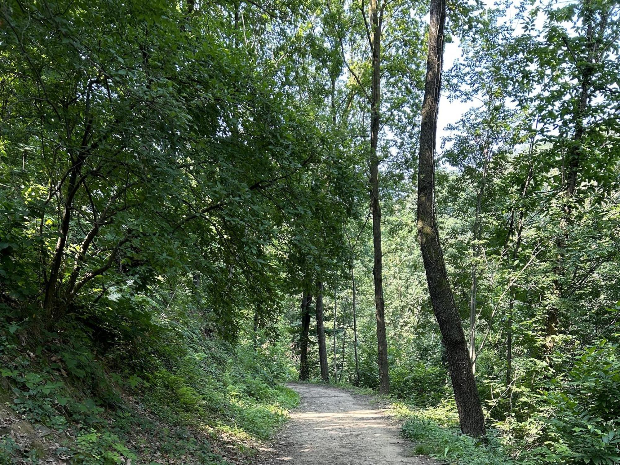 Il Giardino Di Berbech Citta Alta-ulivo * Bergamo